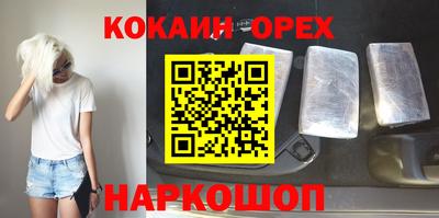 гидра Будённовск