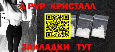 гидра Будённовск