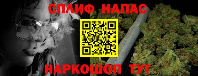 гидра Будённовск