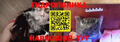 гидра Будённовск