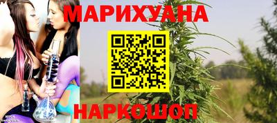 гидра Будённовск