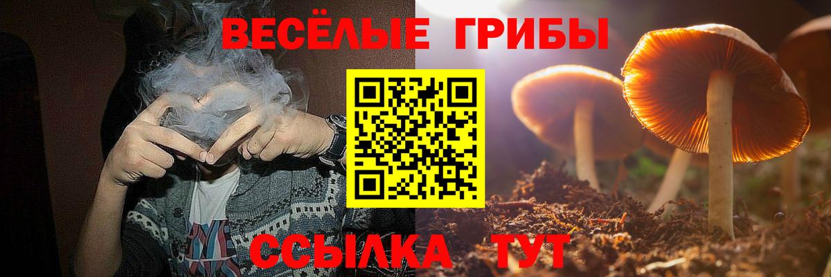 Галлюциногенные грибы прущие грибы  Вход с VPN  Сланцы  Галлюциногенные грибы Magic Shrooms 